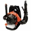 ECHO PB-265LN Backpack Blower 25.4cc